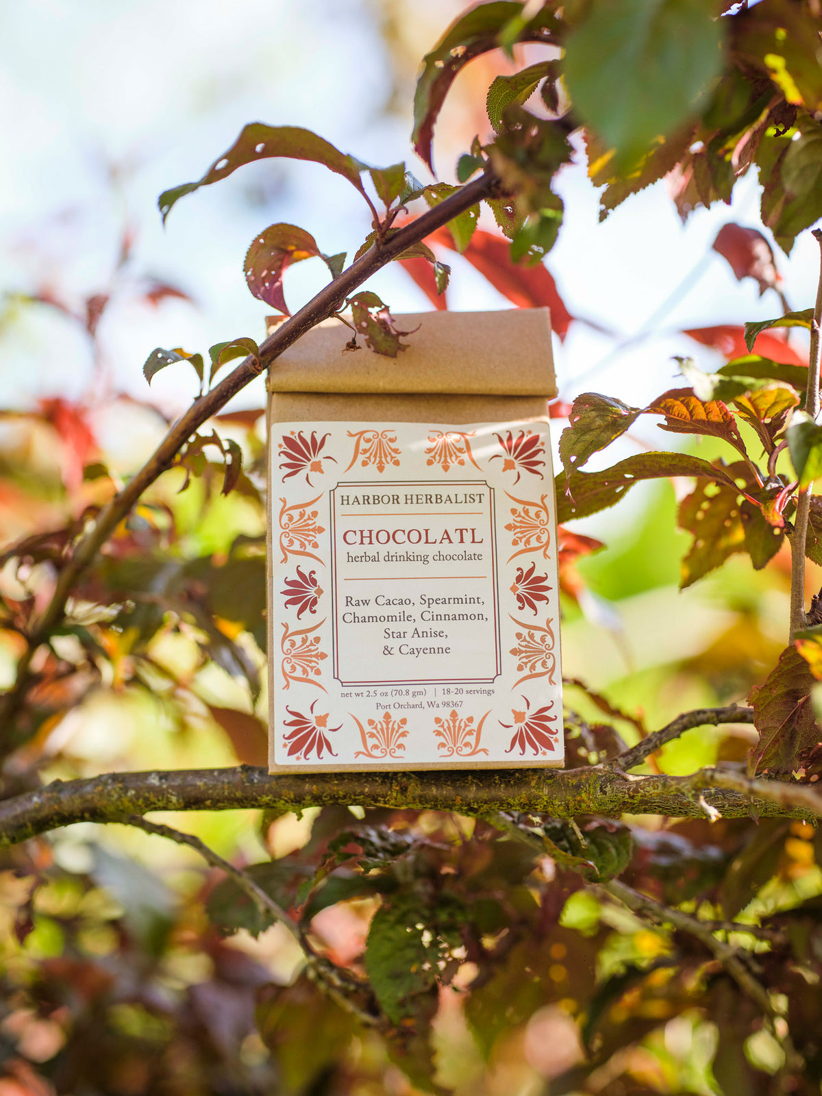 A kraft paper bag labeled Harbor Herbalist Chocolatát, featuring a white label decorated with red and gold botanical illustrations, sits on a tree branch outdoors, surrounded by green and reddish leaves with a blurred natural background.