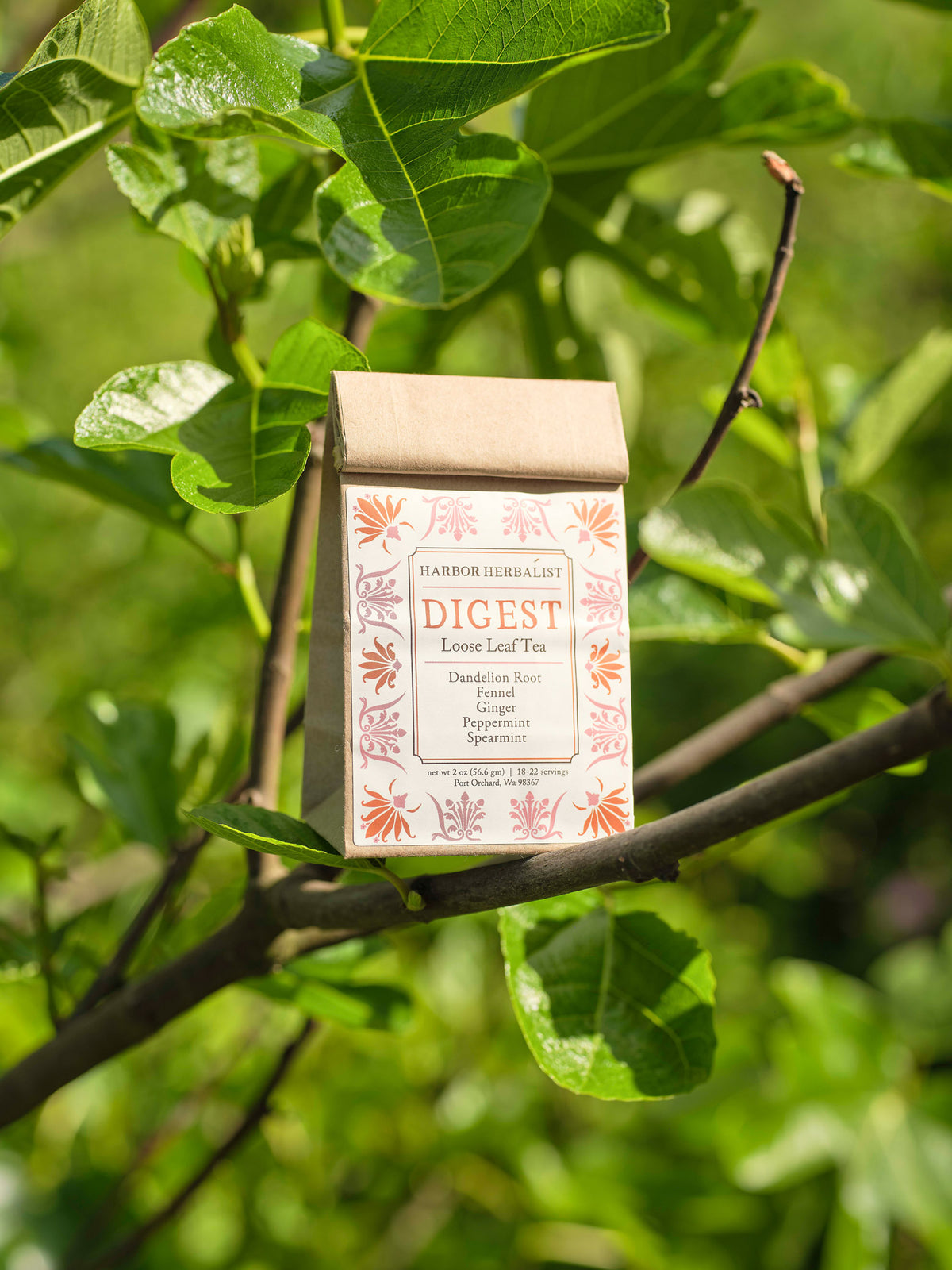 A kraft paper bag of Harbor Herbalist Digest Loose Leaf Tea hanging from a tree branch with green leaves in a natural outdoor setting. The packaging features a white label decorated with orange and pink botanical illustrations.