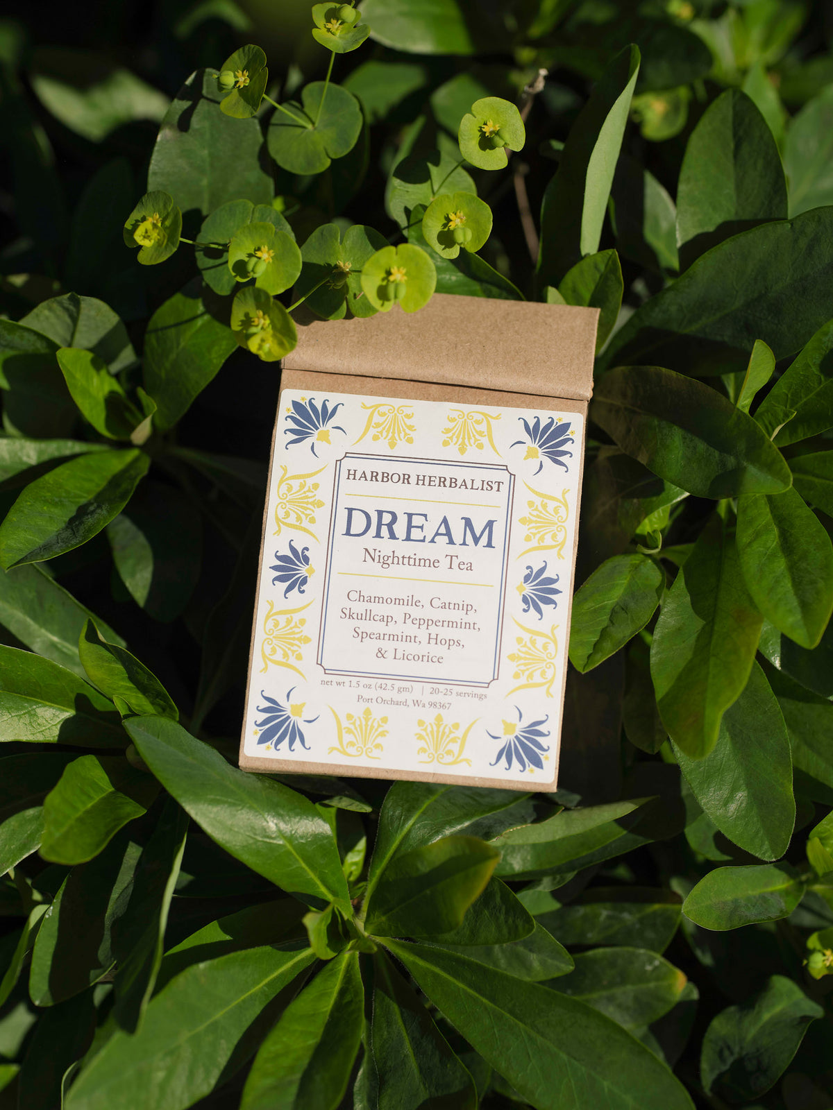 A kraft paper bag of Harbor Herbalist Dream Nighttime Tea placed on a bed of green leaves and small yellow flowers outdoors. The packaging features a white front label with blue and yellow botanical illustrations.