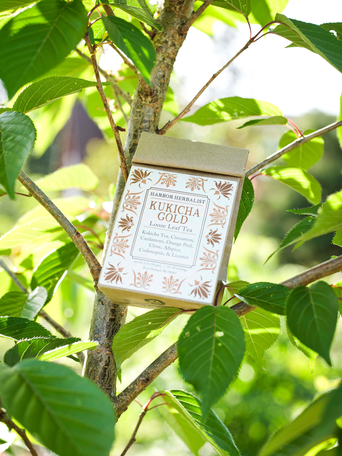 A kraft paper bag of Harbor Herbalist Kukicha Gold Loose Leaf Tea hangs from a tree branch surrounded by green leaves in an outdoor setting. The bag features a white label and copper-gold botanical illustrations.