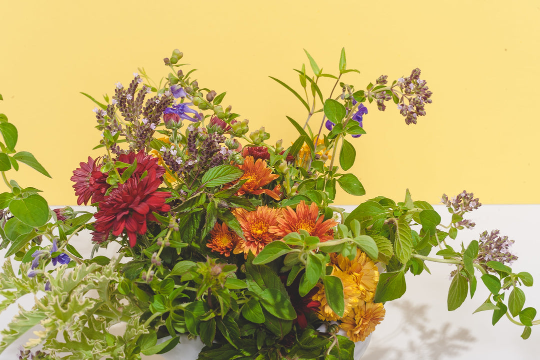 Herbalism and Mental Health Workshops