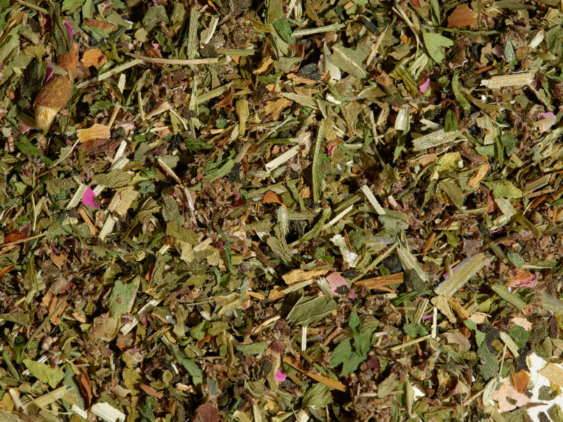Grow tea loose leaf tea leaves on a flat surface.