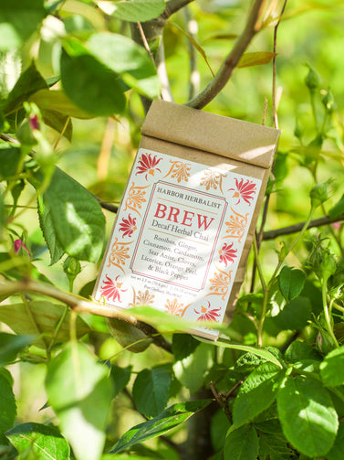 A kraft paper bag of Harbor Herbalist Brew Decaf Herbal Chai tea, photographed outdoors among green leaves and branches. The packaging features red and gold botanical illustrations.