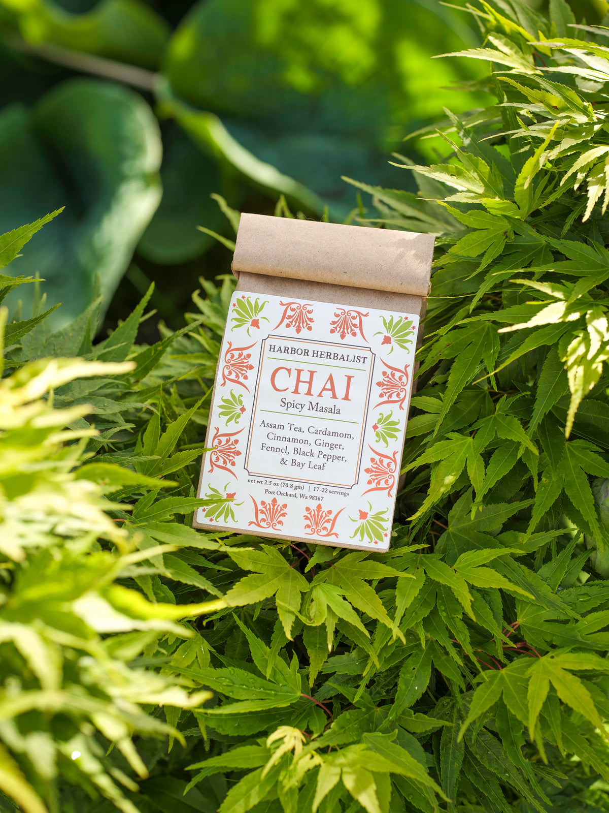 A kraft paper bag of Harbor Herbalist Chai Spicy Masala tea, placed among bright green leaves outdoors. The packaging features a white front label with orange and green botanical illustrations.