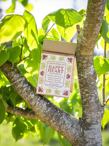 A kraft paper bag of Happy Heart heart health tea hangs from a tree branch outdoors, surrounded by green leaves and natural sunlight. The packaging features a white front label with red and green botanical illustrations.