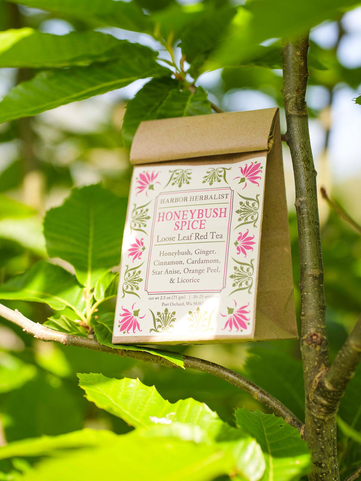 A kraft paper bag of Harbor Herbalist Honeybush Spice loose leaf red tea hangs from a tree branch surrounded by green leaves. The bag features a white label decorated with pink and green botanical illustrations.