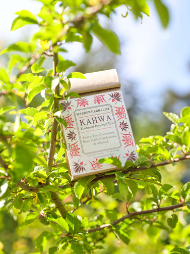 A kraft paper bag of Harbor Herbalist Kahwa Kashmiri Inspired Tea is nestled among green leaves and branches in an outdoor garden setting. The bag features a white front label with red botanical illustrations and black text. 