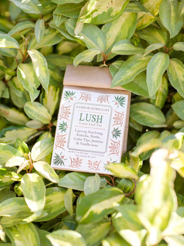 A paper bag of Herbalist Lush Loose Leaf Tea nestled among green variegated foliage. The bag has a white label featuring green and gold botanical illustrations.