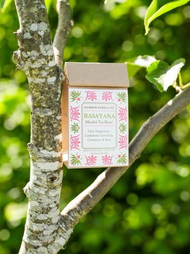 A bag of Harbor Herbalist Rasayana Mindful Tea Blend, featuring a kraft paper top and a white front label with pink and green botanical illustrations, hangs from a tree branch outdoors, with green leaves and sunlight in the background.