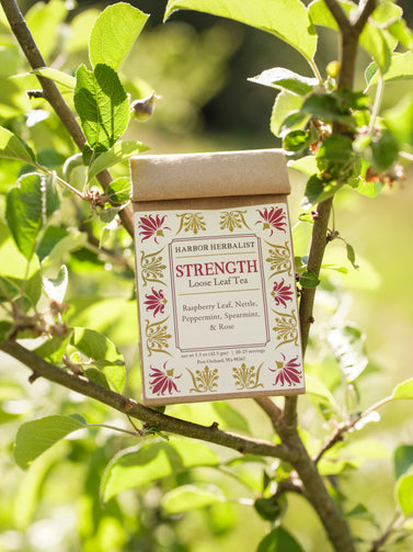 A kraft paper box of Harbor Herbalist Strength Loose Leaf Tea hangs from an apple tree branch outdoors, surrounded by green leaves and sunlight. The bag has a white label decorated with pink and gold botanical illustrations.