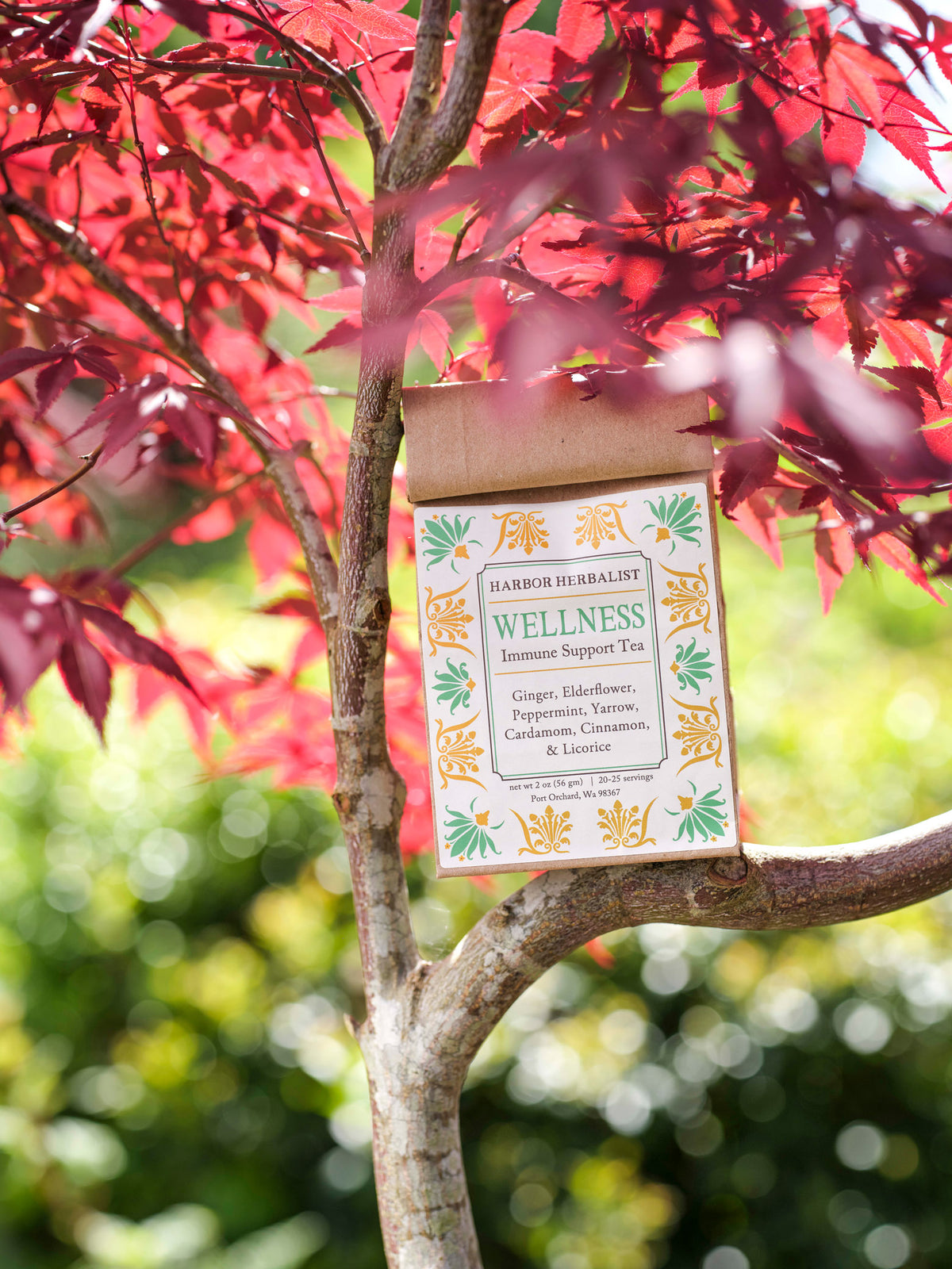 A kraft paper bag of Harbor Herbalist Wellness Immune Support Tea hangs from a tree branch with red leaves in a garden setting. The packaging features a white label with green and gold botanical illustrations and teal text.